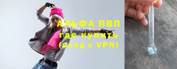 молекула духа Волоколамск