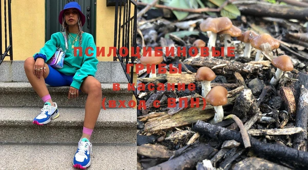 молекула духа Волоколамск