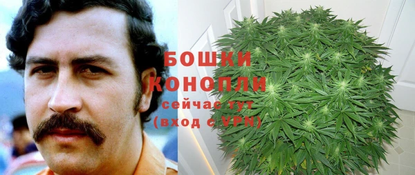 молекула духа Волоколамск