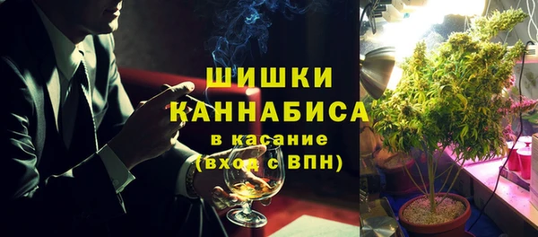молекула духа Волоколамск