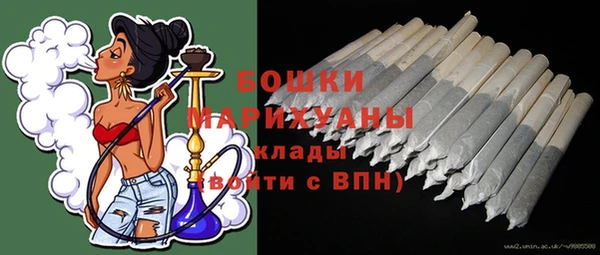 молекула духа Волоколамск